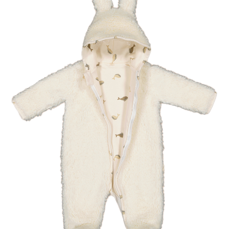 Combipilote Emile Baleineaux